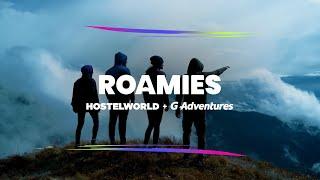 Solo travellers, it’s time to get sociable on small group tours! | ROAMIES
