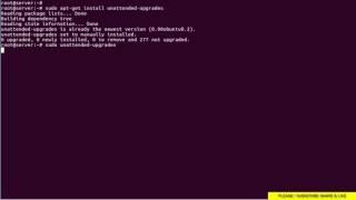 How to Install Security Updates in Linux