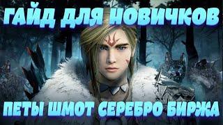 [Black Desert Mobile] Гайд для Новичков l Где брать Петов Серебро Золото Шмот Авто бой Духа 5 уровня