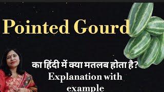 17 l Pointed Gourd meaning l meaning of pointed Gourd l vocabulary