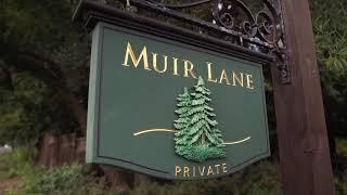 Khrista Jarvis Team - 101 Muir Lane,  Alamo - Property walkthrough video