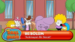 Kral Şakir 80. Bölüm - Acıkmayan Bir Necati