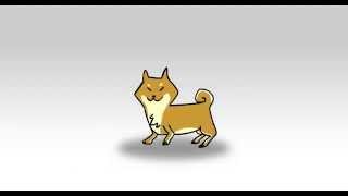 Shiba Video