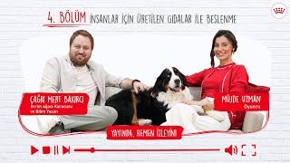 Hayvan Beslenmesinde Bilimsel Gerçekler | İnsanlar için Üretilen Gıdalar ile Beslenme (4. Bölüm)