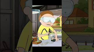 Rick and Morty : (Spoiler) Did all this just to get back at Rick.