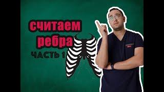 Как считать ребра на рентгенограмме? | Рентгенология