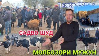 МОБОЗОРИ МУЖУН ! САВДО ШУД ПРЕС НЕСТ МОЛ КАМ БОРЗОРБА #reels