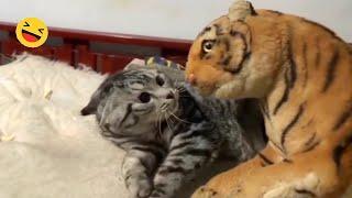 New Funny Animals  - Try not to laugh CATS And DOGS Video Compilation 