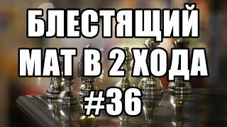 Шахматные задачи мат в 2 хода. Выпуск №36. Шахматы задачи. Решение задач. Шахматные заметки.