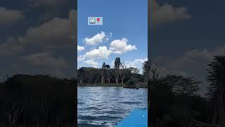 #travel #discovery #kenya #lakenaivasha #nature #nature #eagle #africa #mothernature