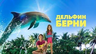 Дельфин Берни /Bernie the Dolphin/ комедия, семейный