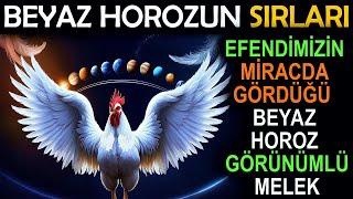 Beyaz Horozun Tüyler Ürperten Sırları! Efendimizin Mirac'da Gördüğü Beyaz Horoz Görünümlü Melek