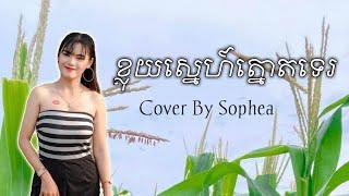 ខ្លុយស្នេហ៍ត្នោតទេរ, Cover by សុភា