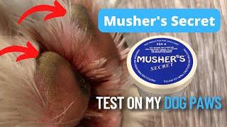 Hyperkeratosis? Going to test out Musher's Secret wax balm on my Dog's Paws! DIY Demonstration