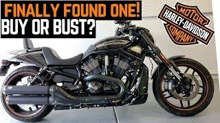 Buy or Bust: Harley Davidson Night Rod Special Craigslist Find (V Rod) | First Ride