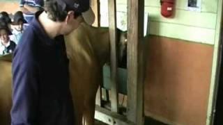 City Farm - Milking.mpg