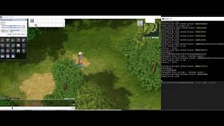 Ragnarok Online Packet Editor (console mode)