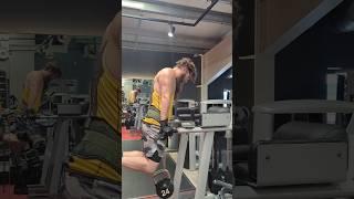 24Kg Dips