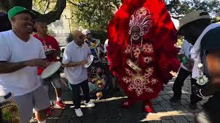 Black Masking Indians Cultural Showcase Part 1 Big Chiefs David, Corey, Dowee& Romeo