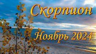 Скорпион Таро прогноз на Ноябрь 2024 года. Судьбоносные перемены к лучшему!