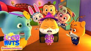 De miedo Boo Bwah | Videos preescolares | Loco Nuts Español | Musica para niños | Educación