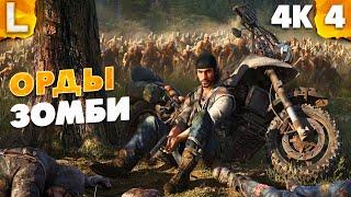 ️ Прохождение Жизнь После - Days Gone на русском [4K, PC] - Часть 4