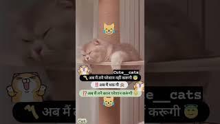 kl pareshan karugi#funny#like#shortvideos #comedycartoon#cartton#youtube#cat#funnycartoo#subscribe