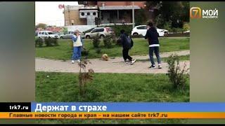 В Покровке появилась банда малолетних хулиганов, которые терроризируют детей и взрослых