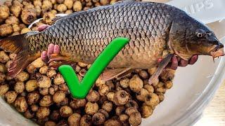 14 minutes! How to cook tiger nuts for fishing. Quick and easy - 100% working method.