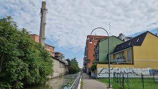 MILANO : NAVIGLIO DELLA MARTESANA TRA TURRO & CRESCENZAGO con NUTRIE che nuotano