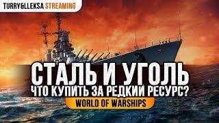 ️ КОРАБЛЬ ЗА СТАЛЬ И УГОЛЬ  ЧТО ЛУЧШЕ КУПИТЬ? World of Warships