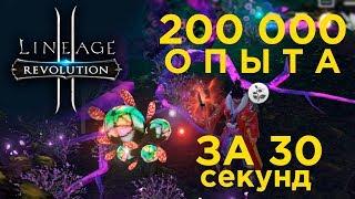 [Lineage 2 Revolution] - Получаем 200к опыта ЛайфХаки Выпуск 1