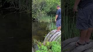 Alligator SCARE!! Florida Everglades Never Fails to Amuse and Terrify 