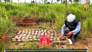 Nearly 800 Square Kilometers of Land Still Affected by Landmines in Cambodia