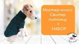 Мастер - класс по вязанию свитера питомцу