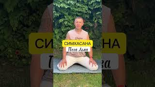 СИМХАСАНА/поза Льва