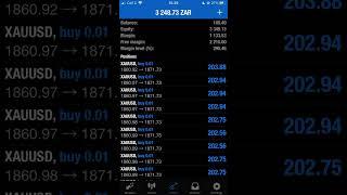 R100 made 3.5k with robot