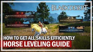 How to Level Horses Fast & Get All Skills Efficiently | Black Desert