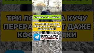 Секреты быстрого компоста: сделай это за 5 минут! #огород