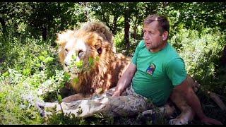 Как на меня НАПАДАЛИ ЛЬВЫ! HOW THE LIONS ATTACKED me !