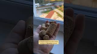 Мои окна больше не потеют!