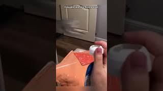 Cat Meal Time#cat #funny cats #for #foryou #fyp #foryoupage #funnyvideo #cute #pet #cutecat #animal