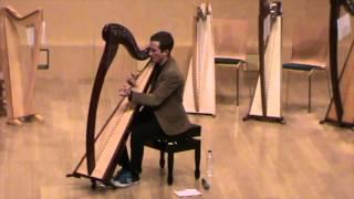 Slow air and set of reels/Nikolaz Cadoret/Celtic harp/Live @ Terrassa 2015