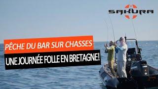 Pêche du bar sur chasses - Une journée folle en Bretagne!!