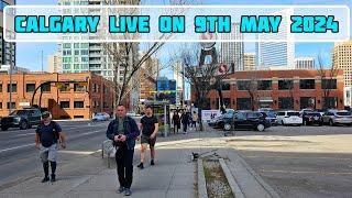 IJ Annie's Vlog is live!