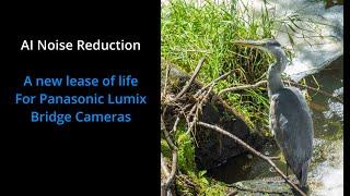 A new lease of life for Panasonic Lumix Bridge Cameras