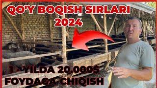 QO’Y BOQISH SIRLARI 2024|| 1-YILDA 20.000$ FOYDA CHIQISH BA’TAFSIL VIDYODA️94.306.70.20