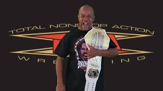 TNA World Heavyweight Championship Belt Review