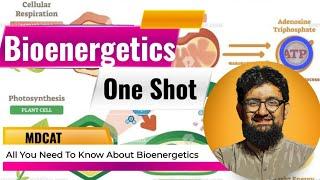 Bioenergetics | One Shot Video