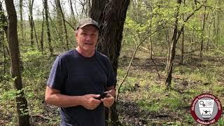 Science In Seconds: The Honey Locust Tree